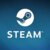 Steam Version